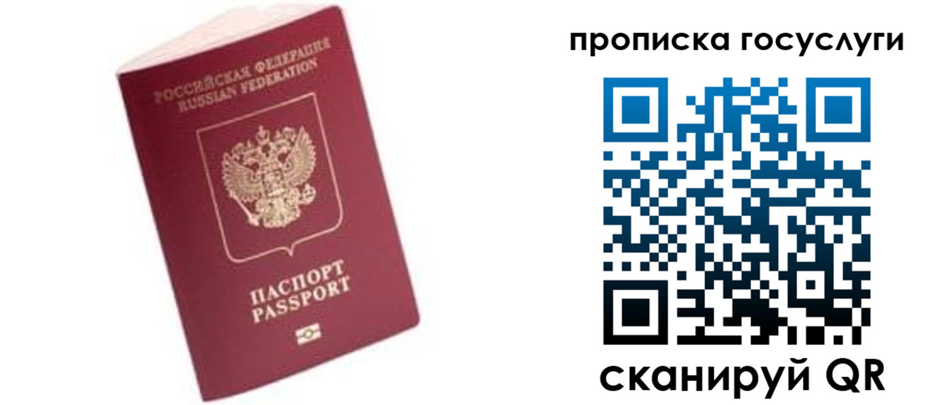 прописка в Торопеце